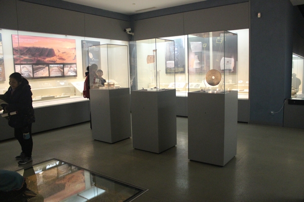 博物馆独立柜18