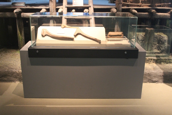 博物馆桌柜15